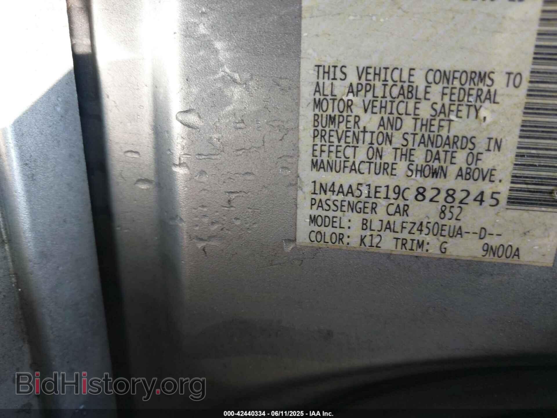 2009 NISSAN MAXIMA - VIN: 1N4AA51E19C828245 - Фото 9