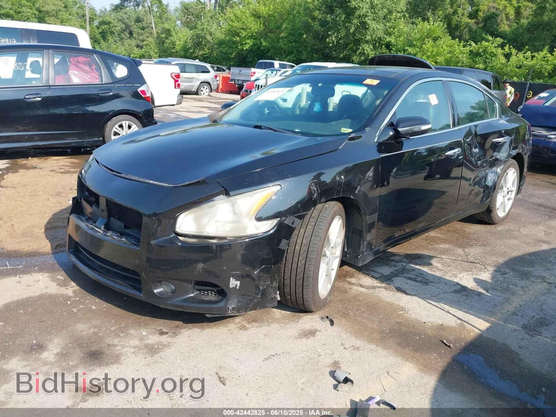 2010 NISSAN MAXIMA - VIN: 1N4AA5AP2AC845304 - Фото 2
