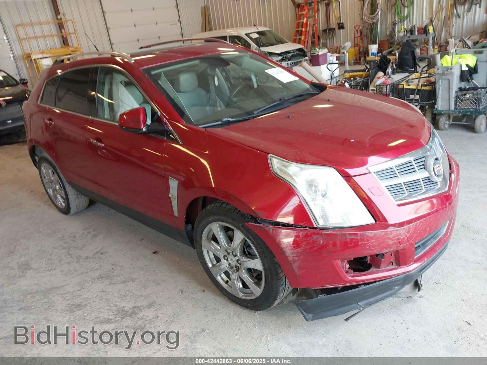 Photo 3GYFNCEY7AS503122 - CADILLAC SRX 2010