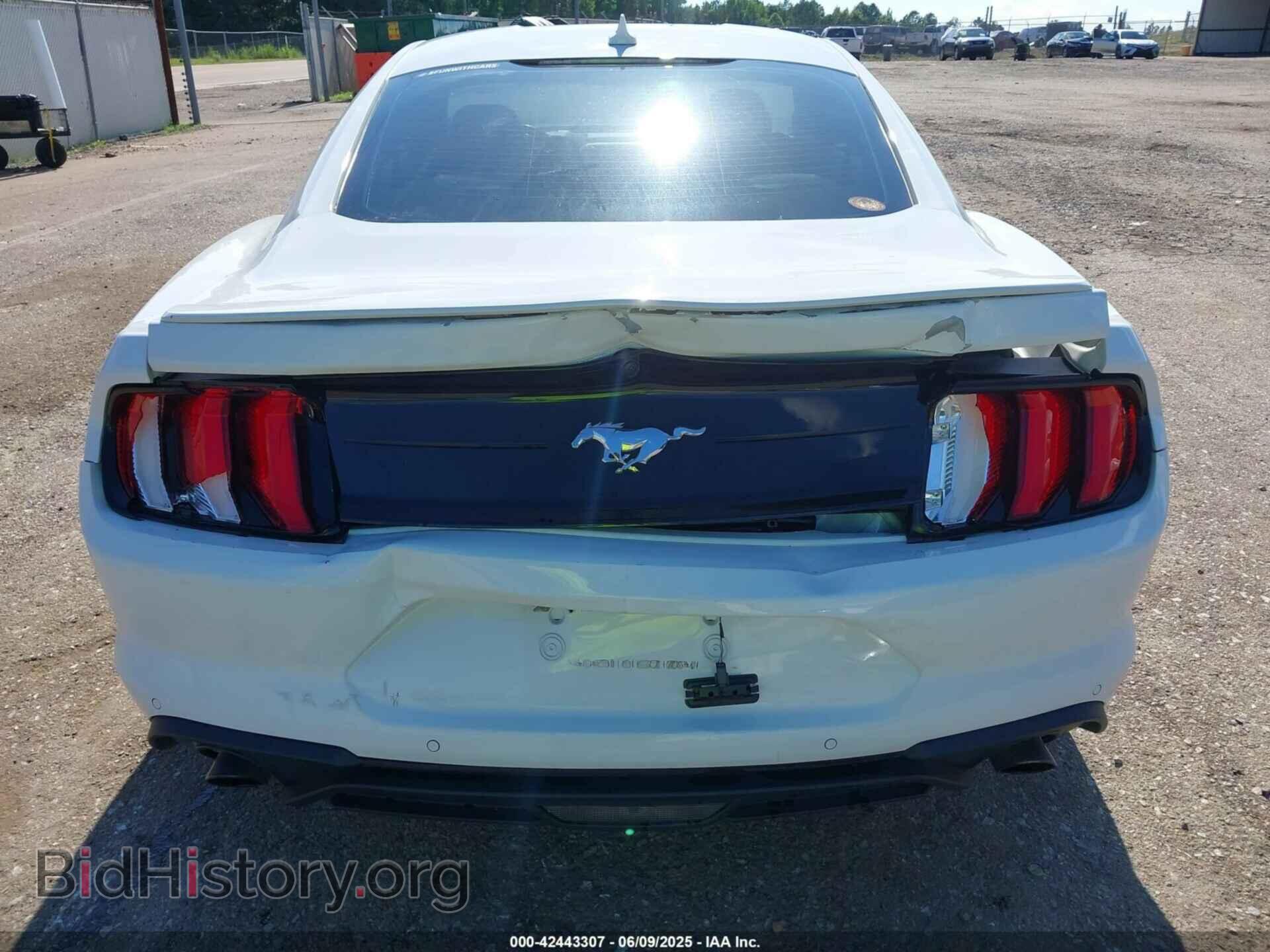 2023 FORD MUSTANG - VIN: 1FA6P8TH3P5105186 - Фото 6