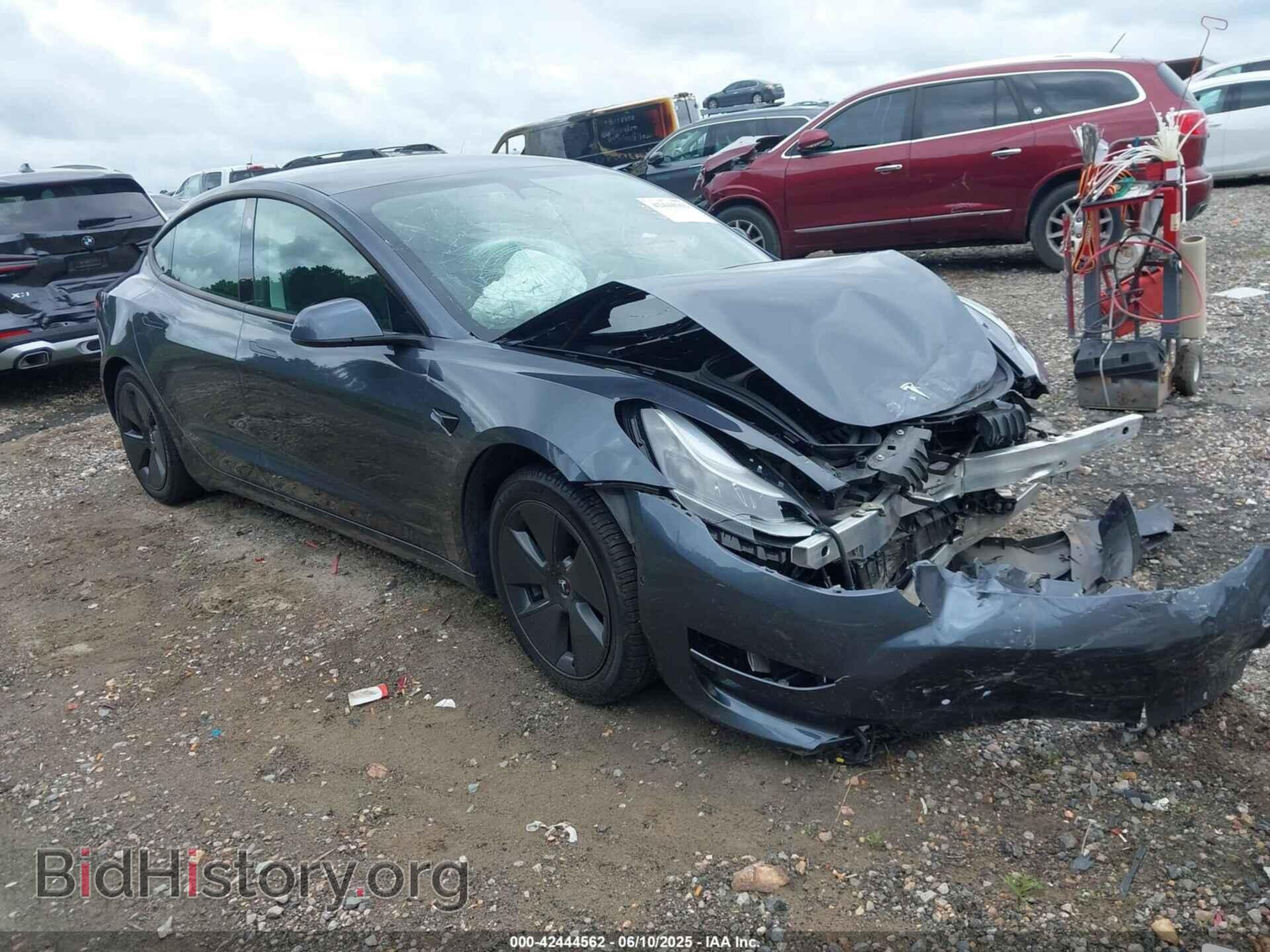 Photo 5YJ3E1EA1MF911192 - TESLA MODEL 3 2021