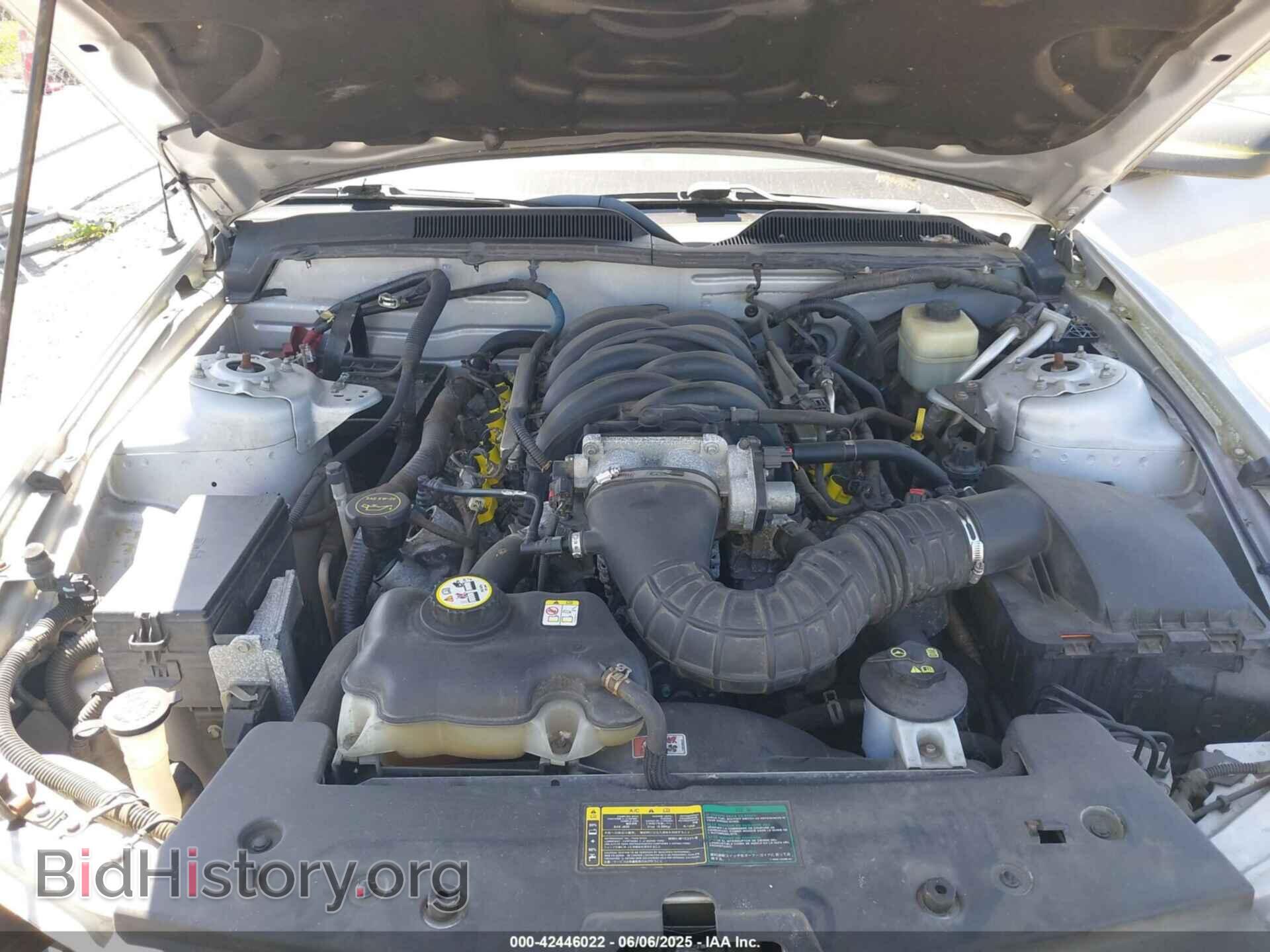 2006 FORD MUSTANG - VIN: 1ZVHT82H065175045 - Фото 10