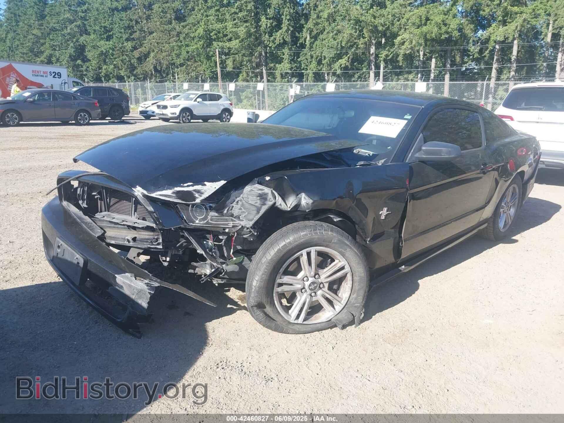 2013 FORD MUSTANG - VIN: 1ZVBP8AM3D5269846 - Фото 2