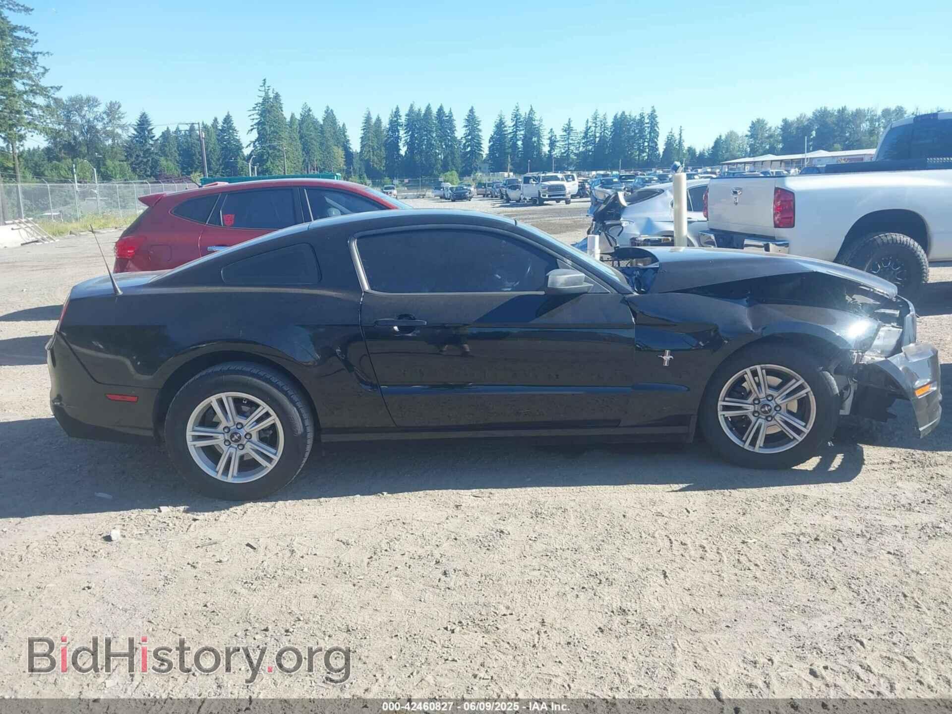2013 FORD MUSTANG - VIN: 1ZVBP8AM3D5269846 - Фото 13