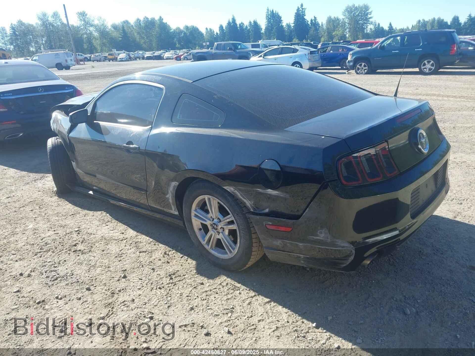 2013 FORD MUSTANG - VIN: 1ZVBP8AM3D5269846 - Фото 3