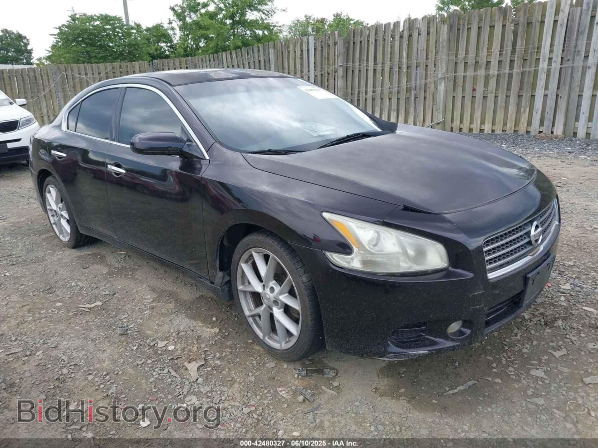 Photo 1N4AA5AP1AC819485 - NISSAN MAXIMA 2010