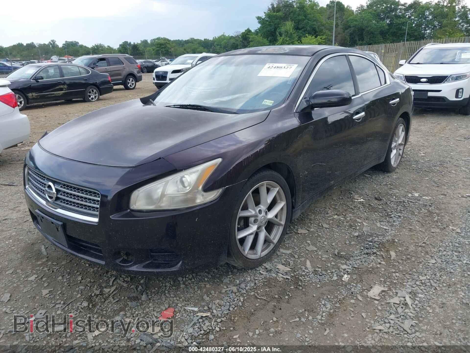 2010 NISSAN MAXIMA - VIN: 1N4AA5AP1AC819485 - Фото 2