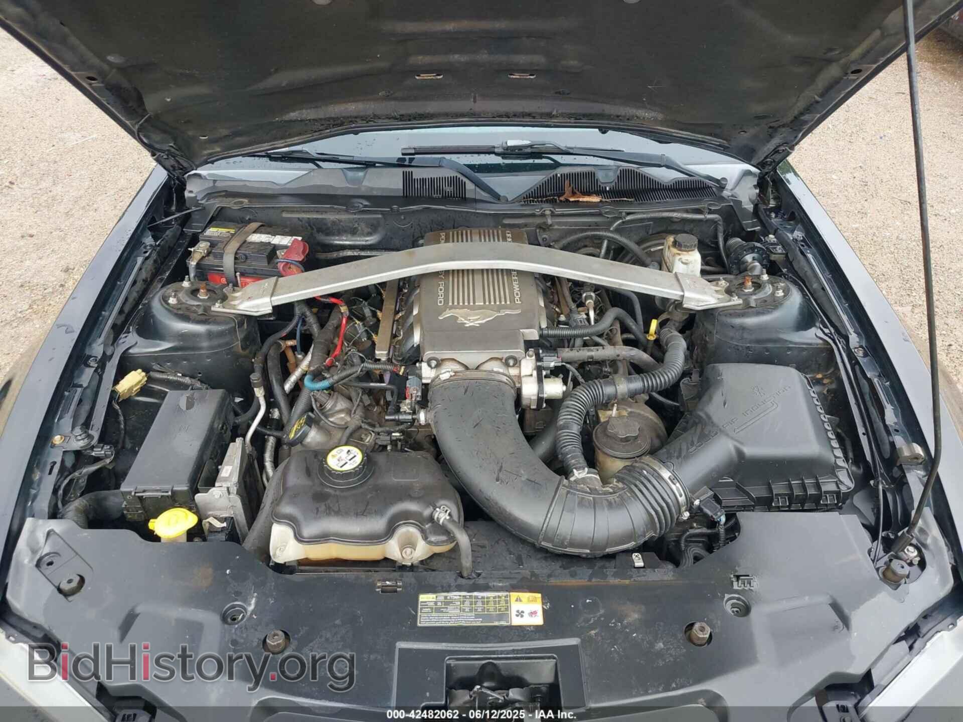 2010 FORD MUSTANG - VIN: 1ZVBP8CH5A5100701 - Фото 10