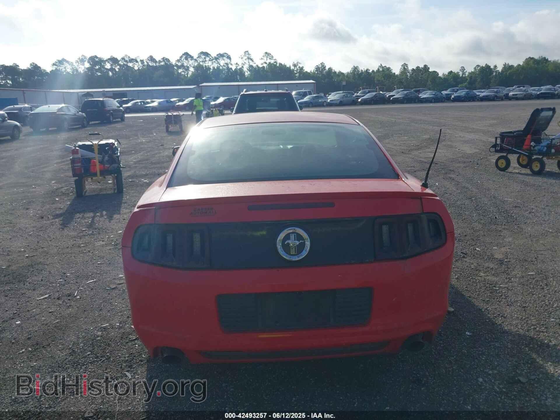 2013 FORD MUSTANG - VIN: 1ZVBP8AM8D5250810 - Фото 15