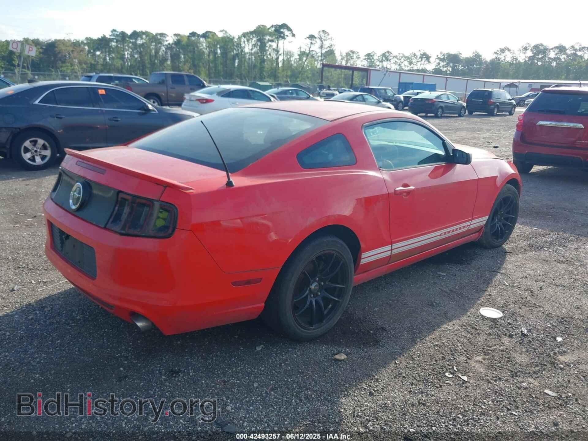 2013 FORD MUSTANG - VIN: 1ZVBP8AM8D5250810 - Фото 4