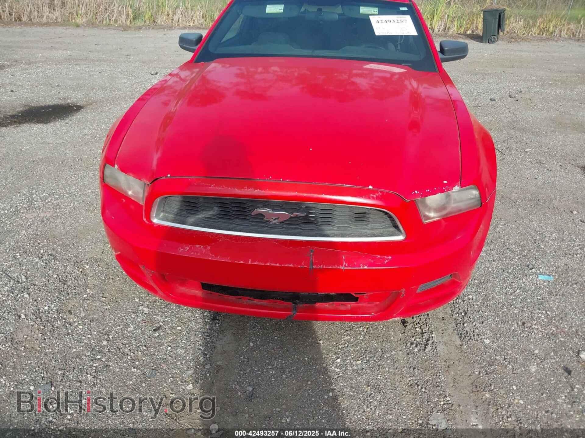 2013 FORD MUSTANG - VIN: 1ZVBP8AM8D5250810 - Фото 6