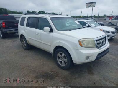 2009 Honda PILOT EX-L, white — VIN 5FNYF38509B022341, IAAI