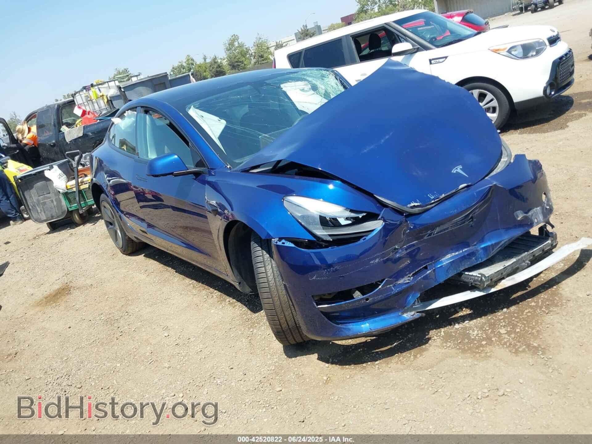 Photo 5YJ3E1EA5MF921496 - TESLA MODEL 3 2021