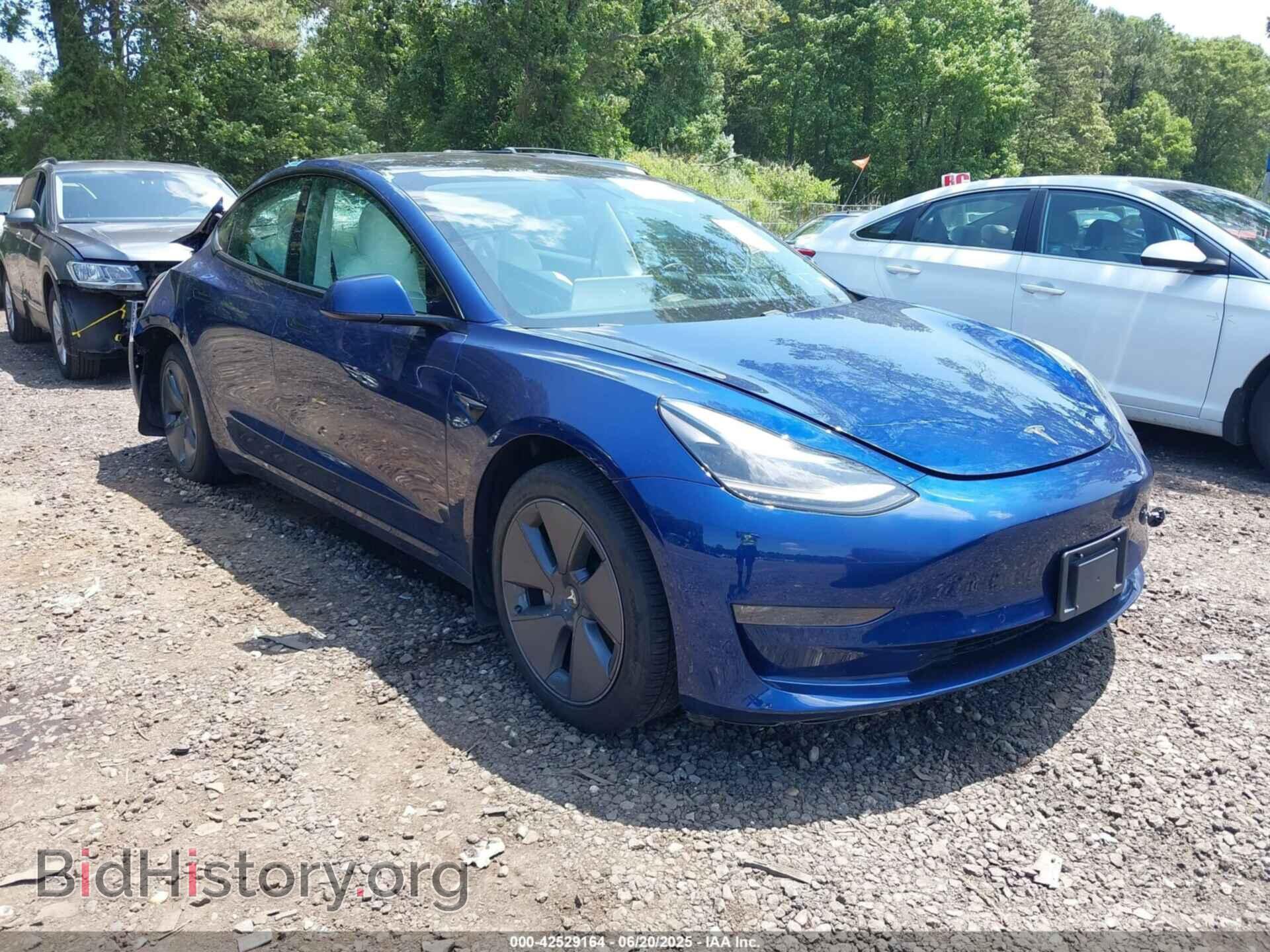 Photo 5YJ3E1EB2MF925319 - TESLA MODEL 3 2021