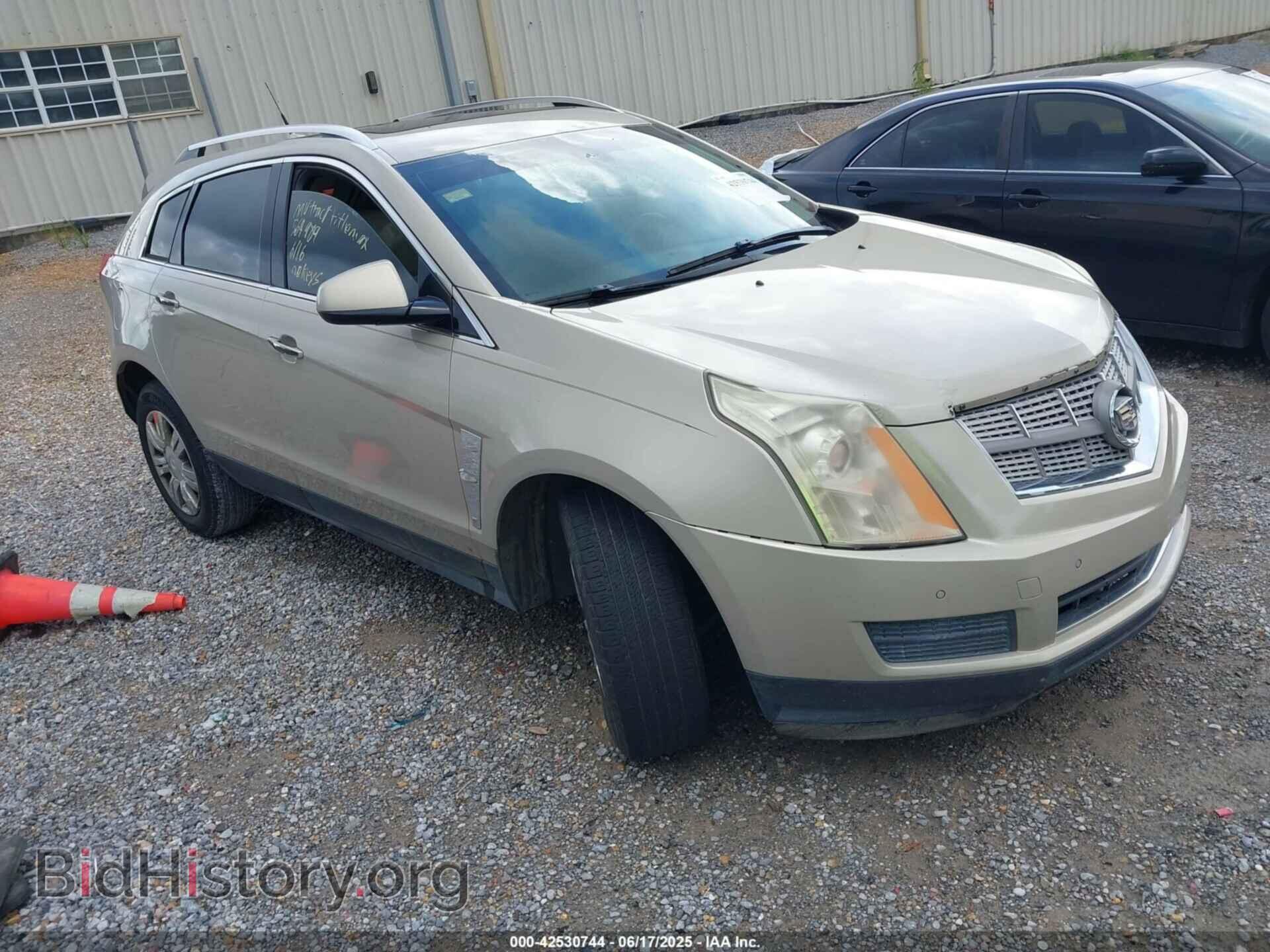 Photo 3GYFNAEY7AS564989 - CADILLAC SRX 2010