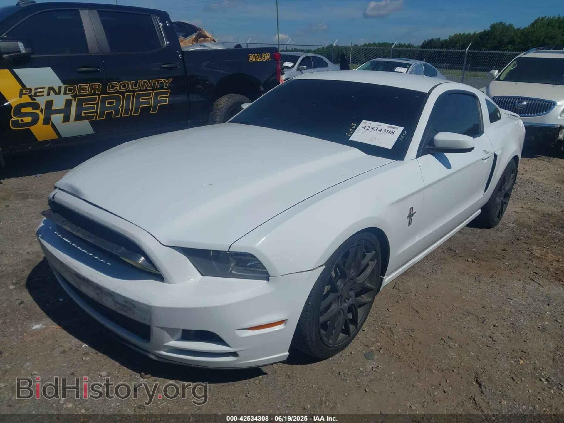 2014 FORD MUSTANG - VIN: 1ZVBP8AM4E5282462 - Фото 2