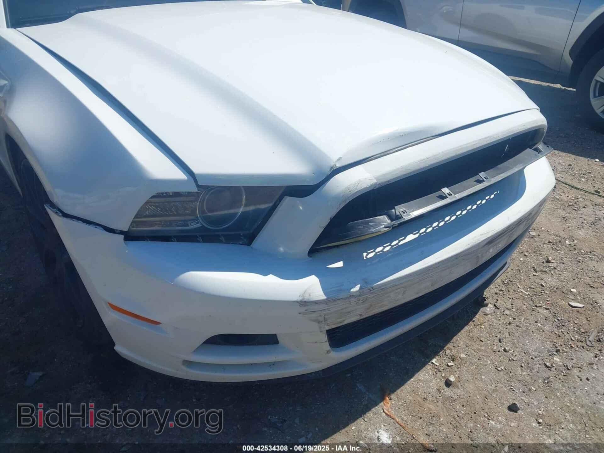 2014 FORD MUSTANG - VIN: 1ZVBP8AM4E5282462 - Фото 6