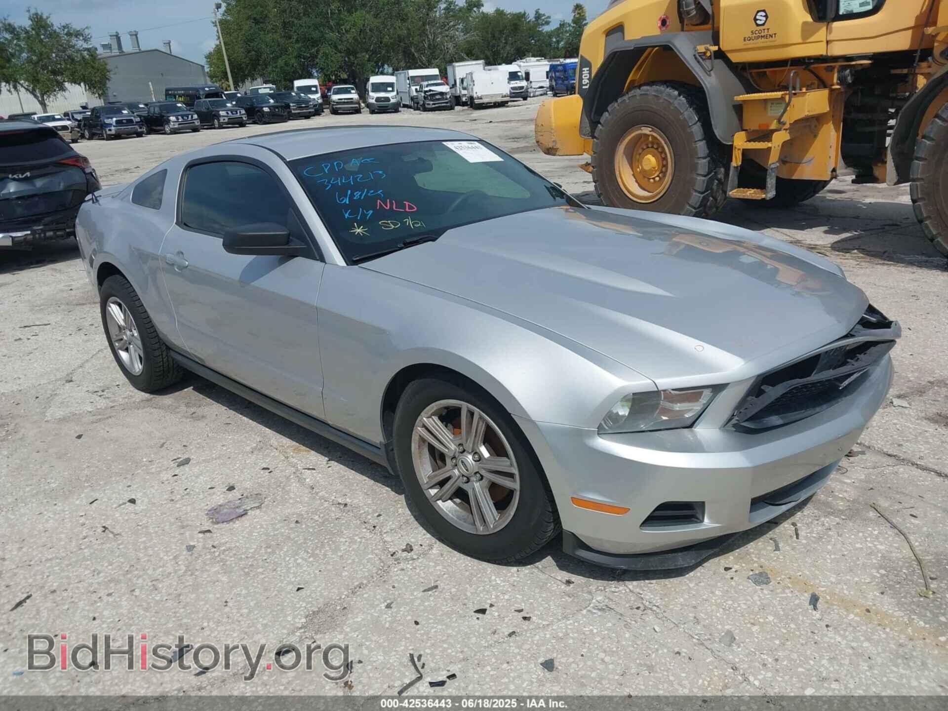 Photo 1ZVBP8AM4C5239351 - FORD MUSTANG 2012