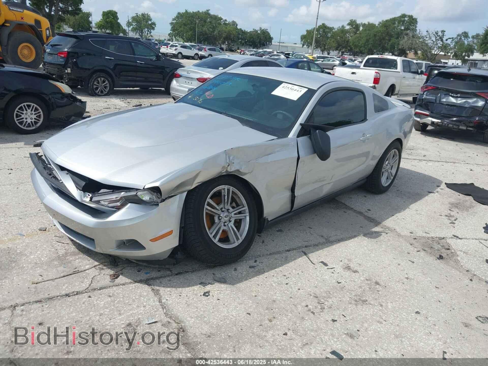 2012 FORD MUSTANG - VIN: 1ZVBP8AM4C5239351 - Фото 2