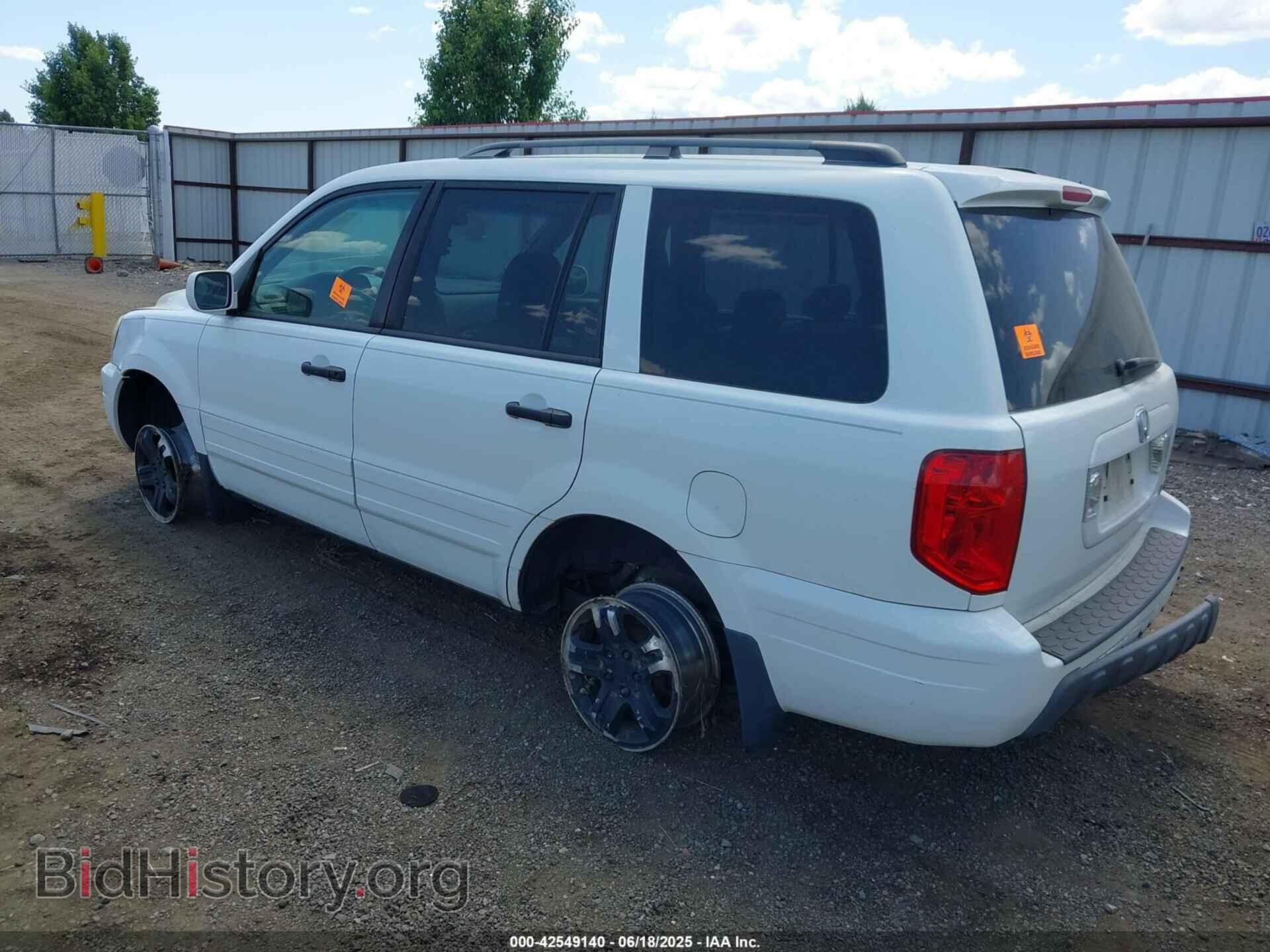2005 HONDA PILOT - VIN: 5FNYF18665B002893 - Фото 3