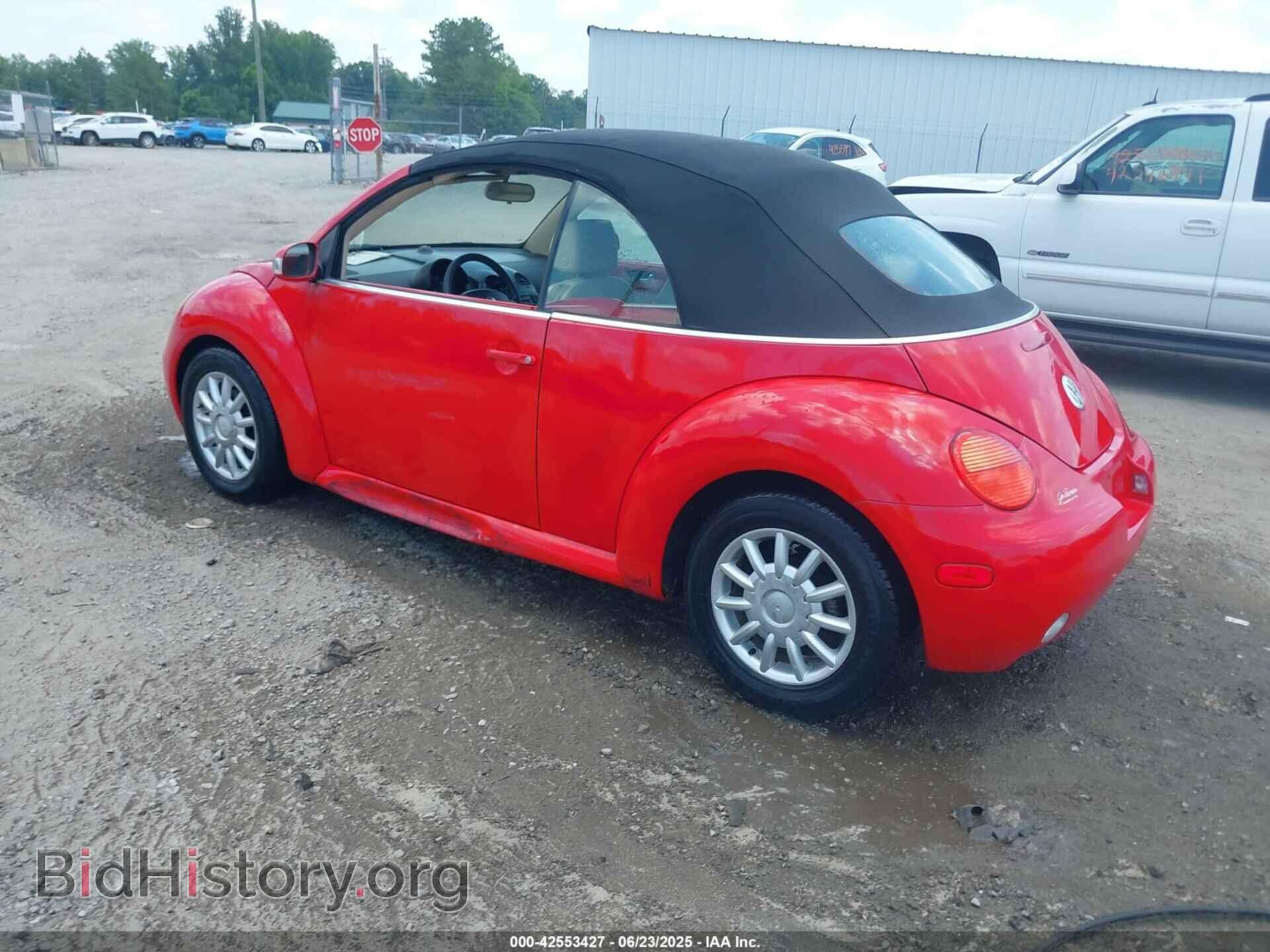 2005 VOLKSWAGEN NEW BEETLE - VIN: 3VWCM31Y25M313088 - Фото 3