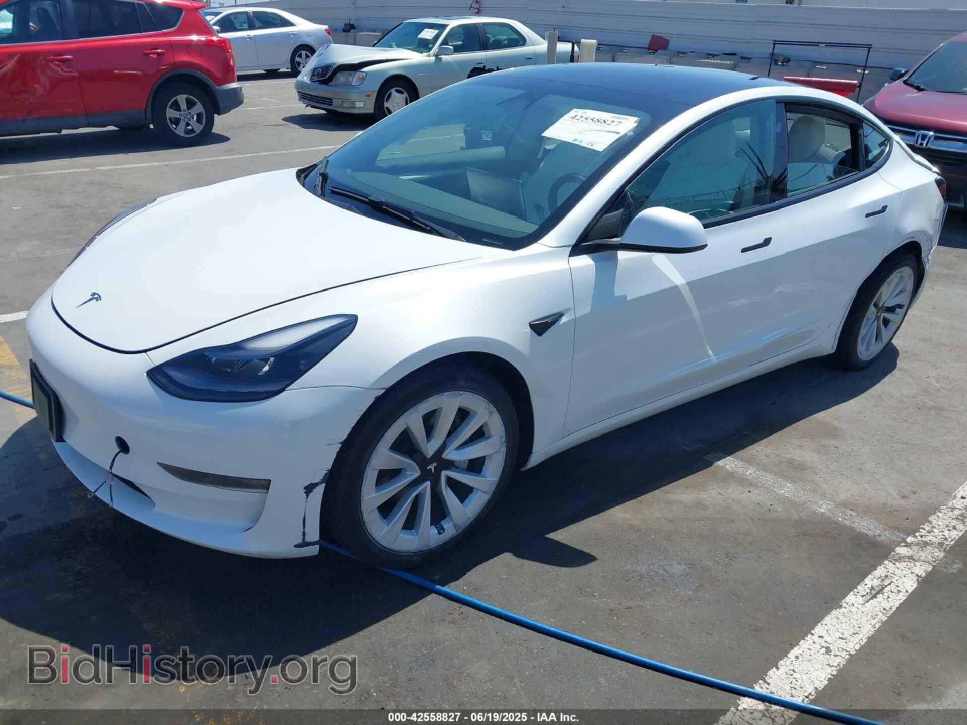 2023 TESLA MODEL 3 - VIN: 5YJ3E1EA3PF484277 - Фото 2