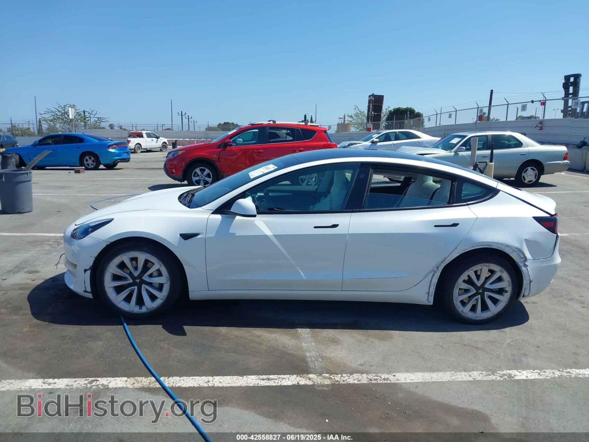 2023 TESLA MODEL 3 - VIN: 5YJ3E1EA3PF484277 - Фото 13