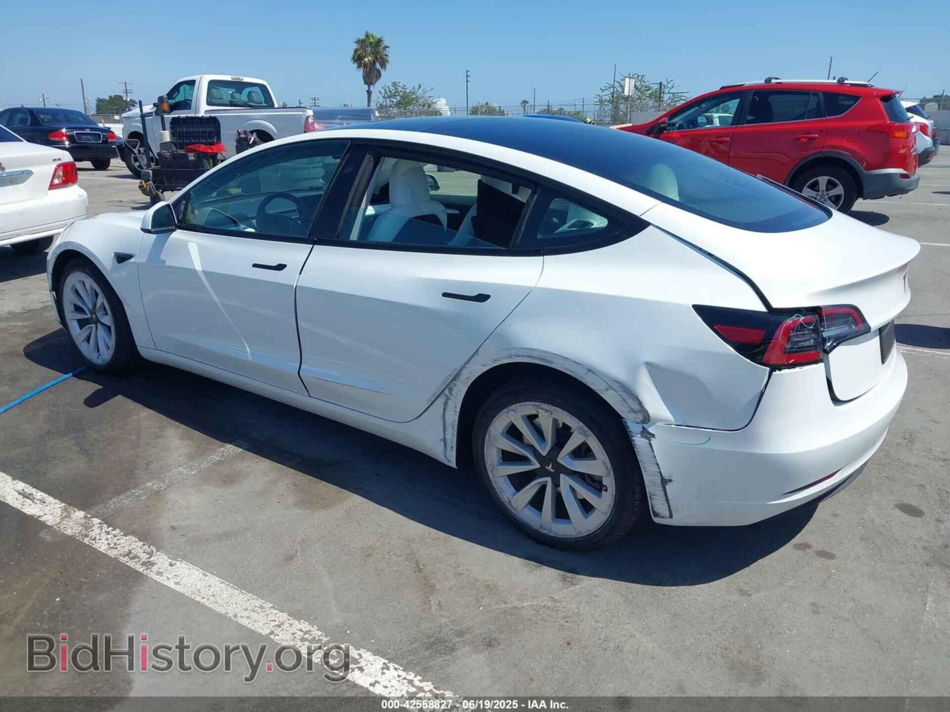 2023 TESLA MODEL 3 - VIN: 5YJ3E1EA3PF484277 - Фото 3