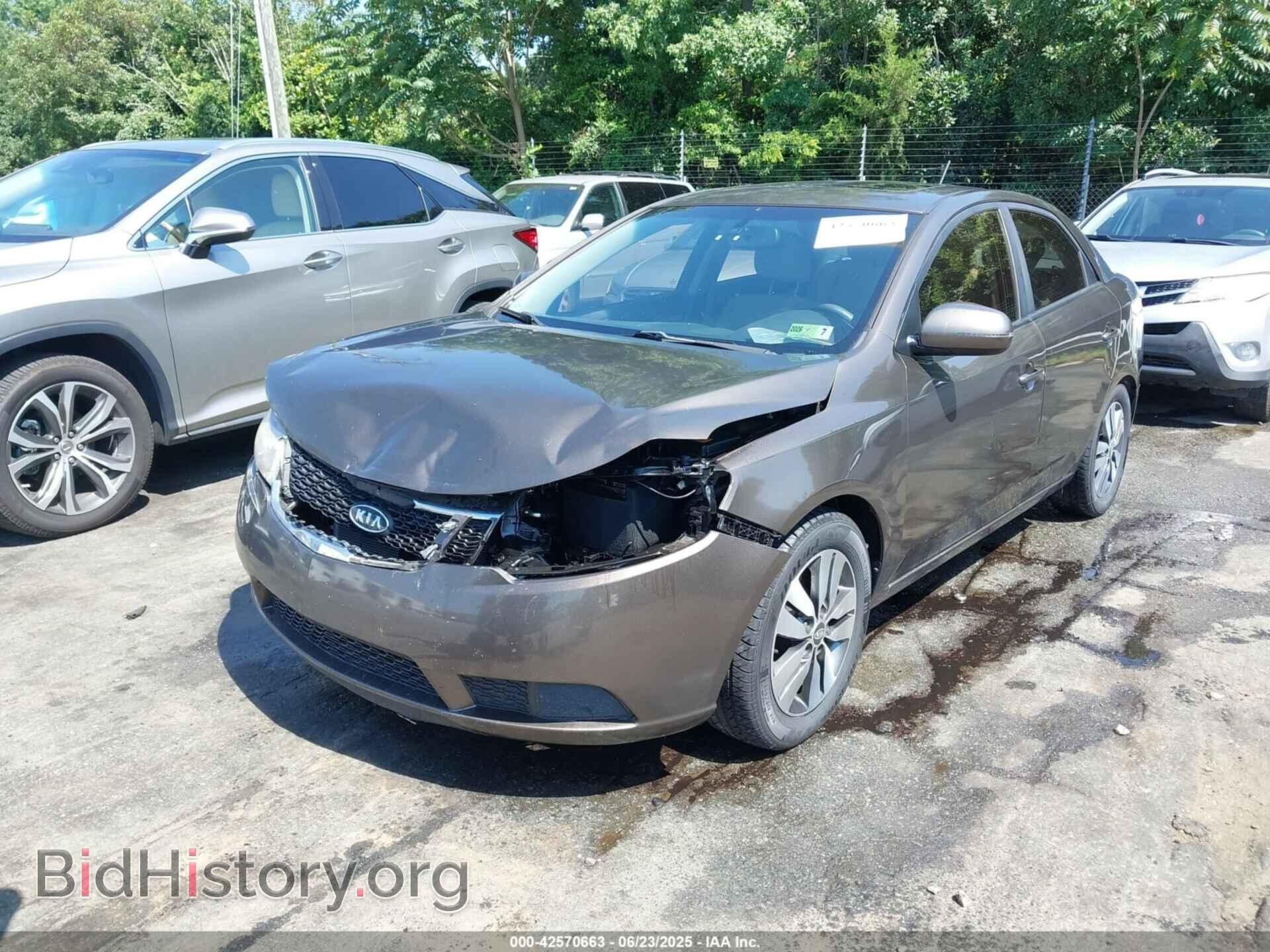 2013 KIA FORTE - VIN: KNAFU4A22D5678728 - Фото 2