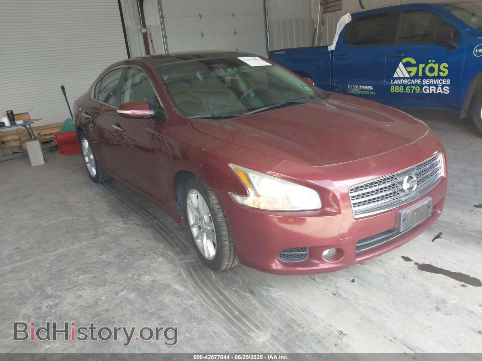 Photo 1N4AA5AP2AC824663 - NISSAN MAXIMA 2010