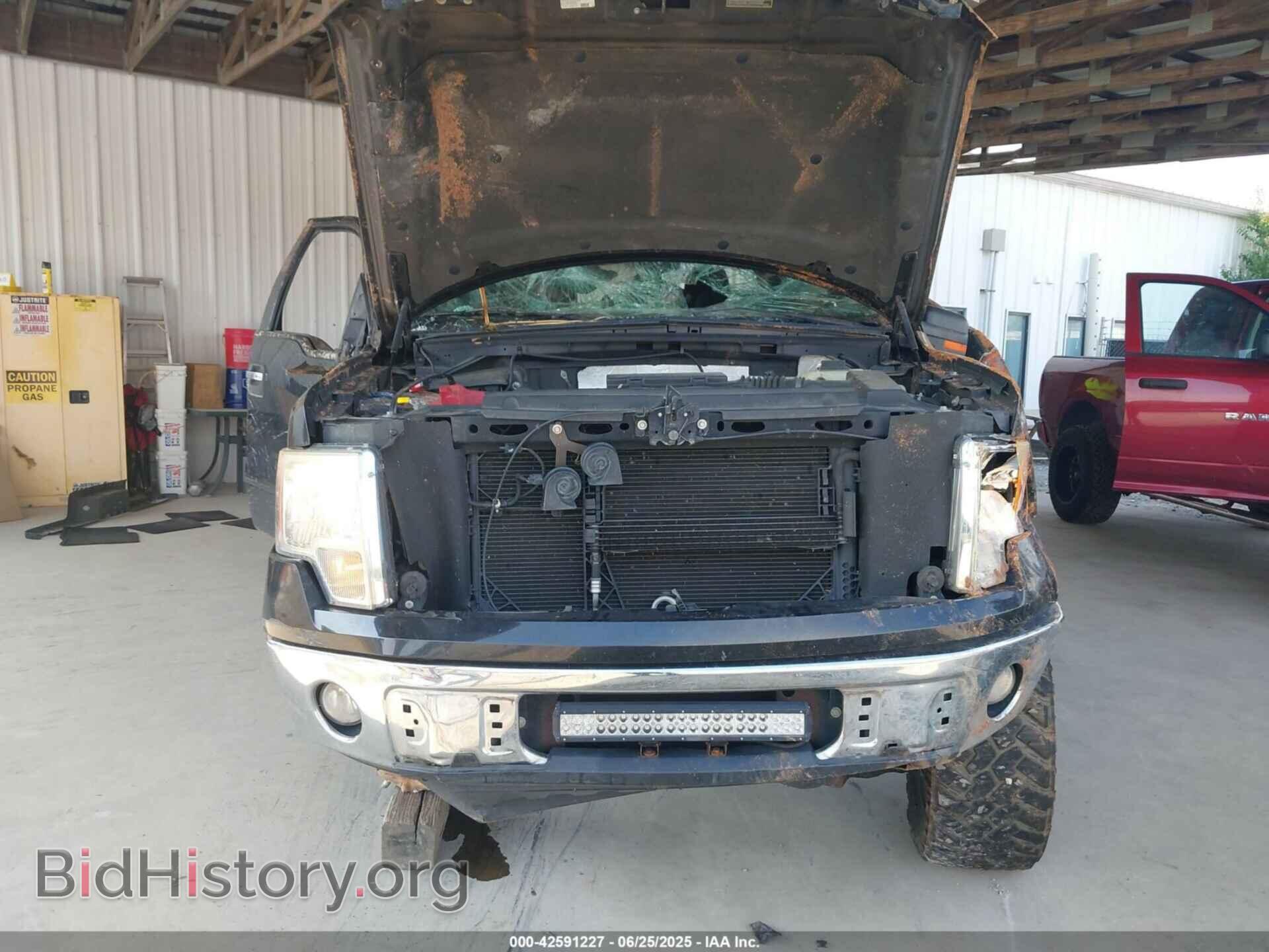 2012 FORD F150 - VIN: 1FTFW1CF1CFA08916 - Фото 12