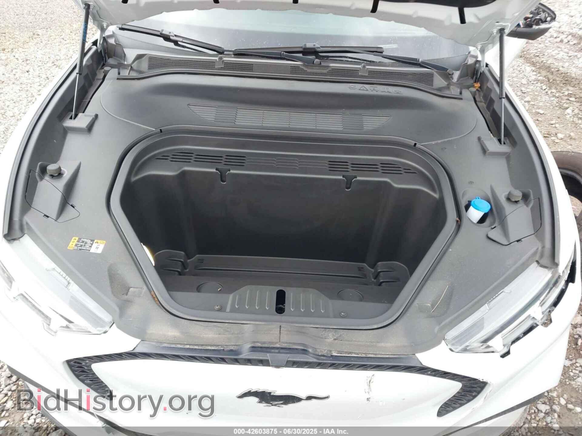 2023 FORD MUSTANG MACH-E - VIN: 3FMTK1S5XPMA87642 - Фото 10