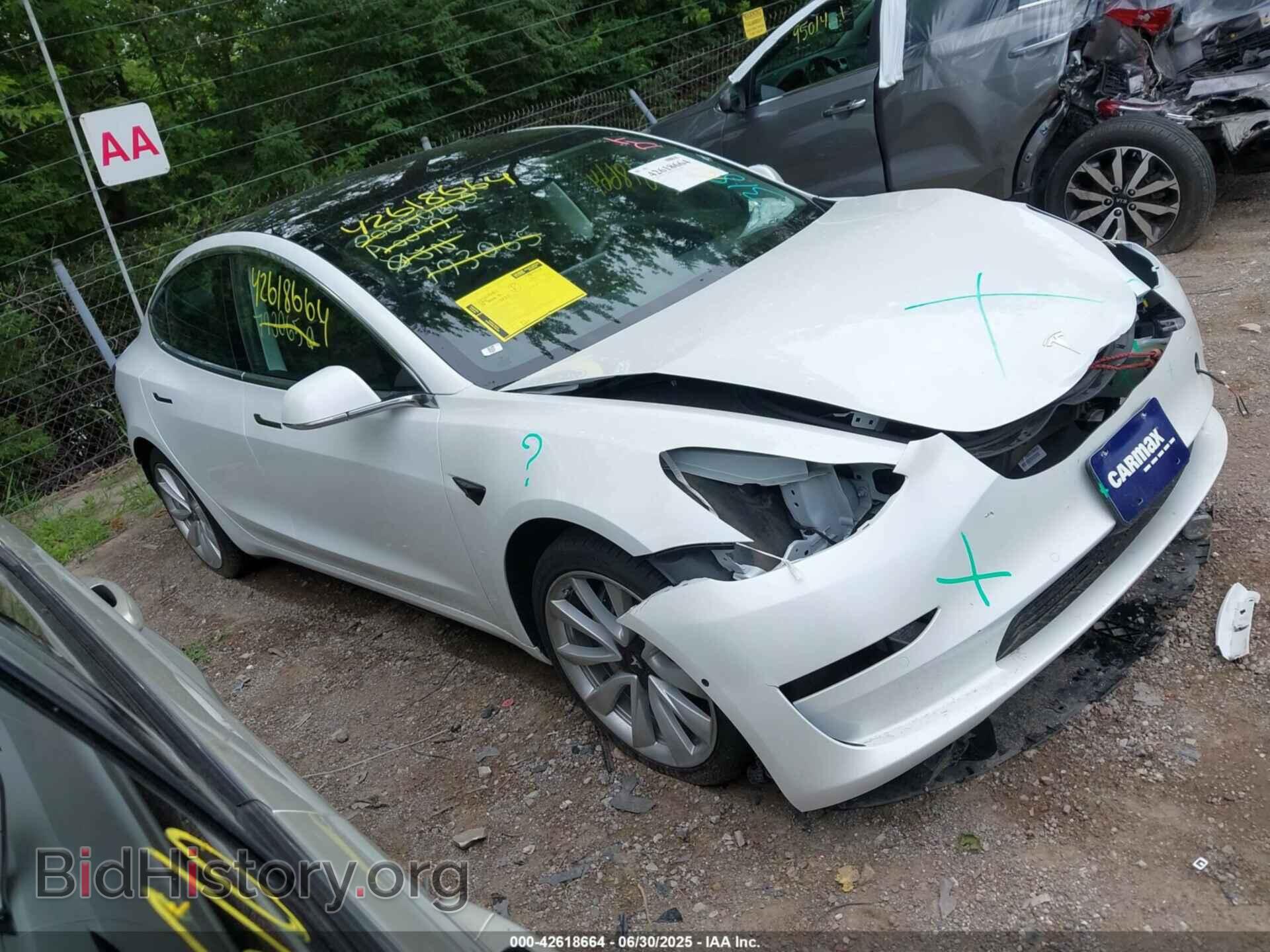 Photo 5YJ3E1EA7LF793065 - TESLA MODEL 3 2020