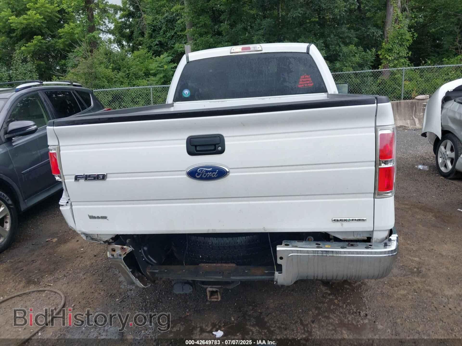 2013 FORD F-150 - VIN: 1FTMF1CM5DFD74210 - Фото 16