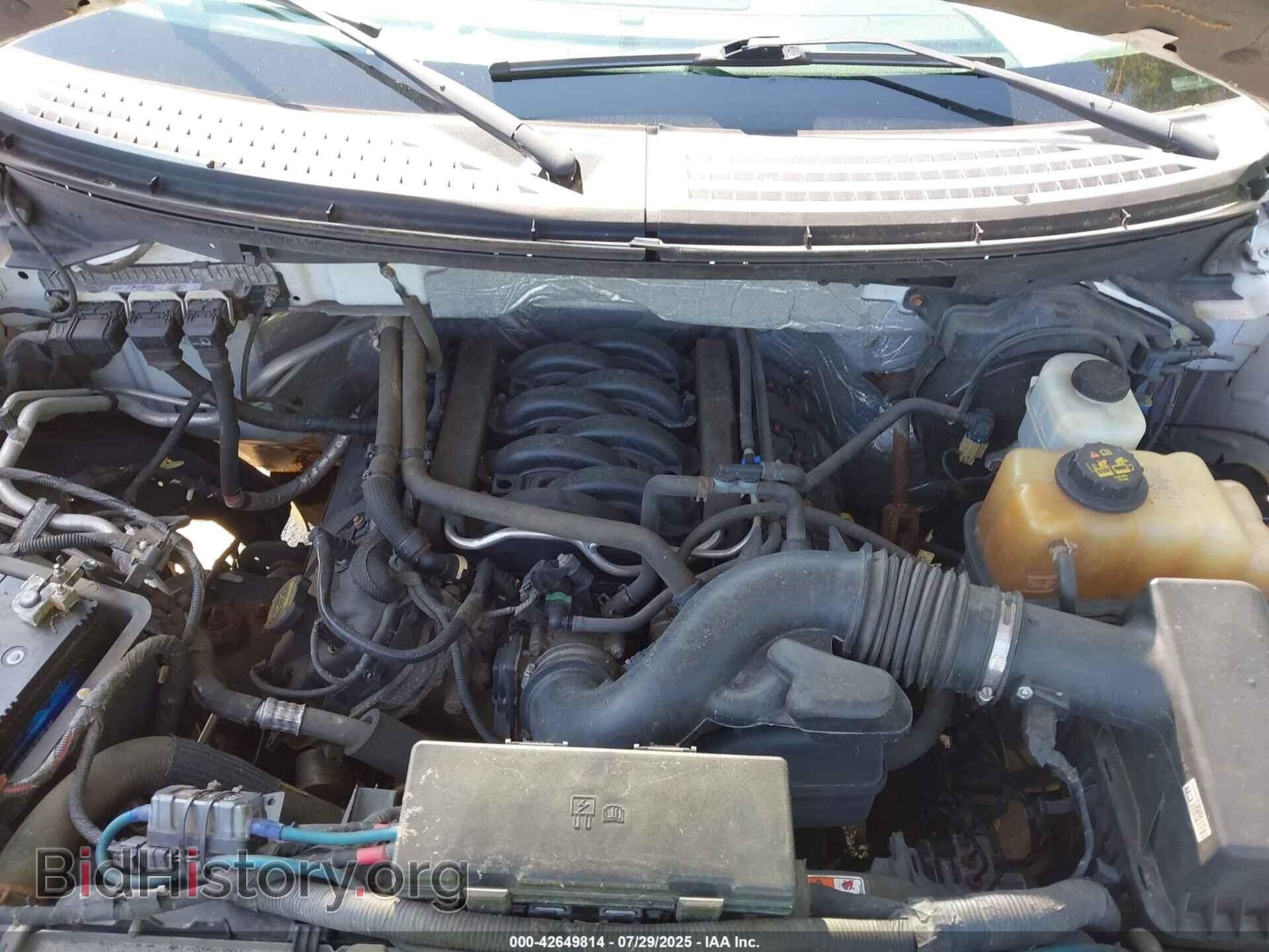2013 FORD F-150 - VIN: 1FTFX1EF8DFD54036 - Фото 10