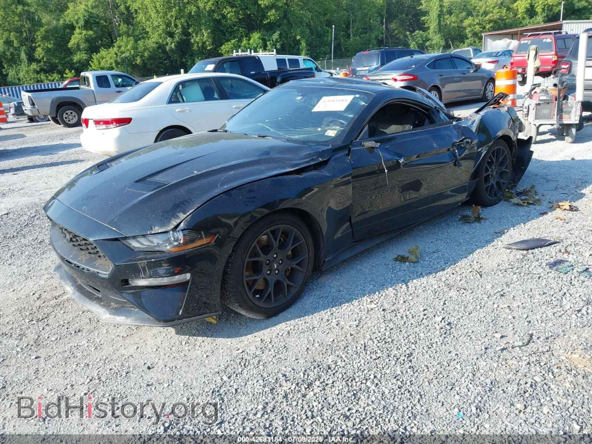 2019 FORD MUSTANG - VIN: 1FA6P8TH8K5133624 - Фото 2