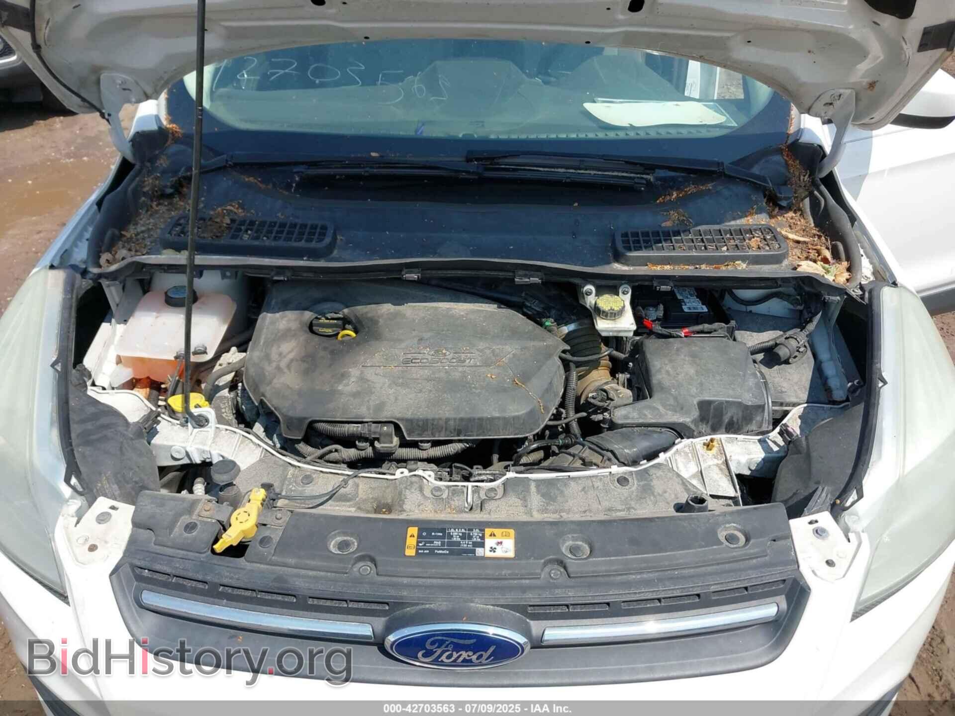 2014 FORD ESCAPE - VIN: 1FMCU0GX4EUE42781 - Фото 10