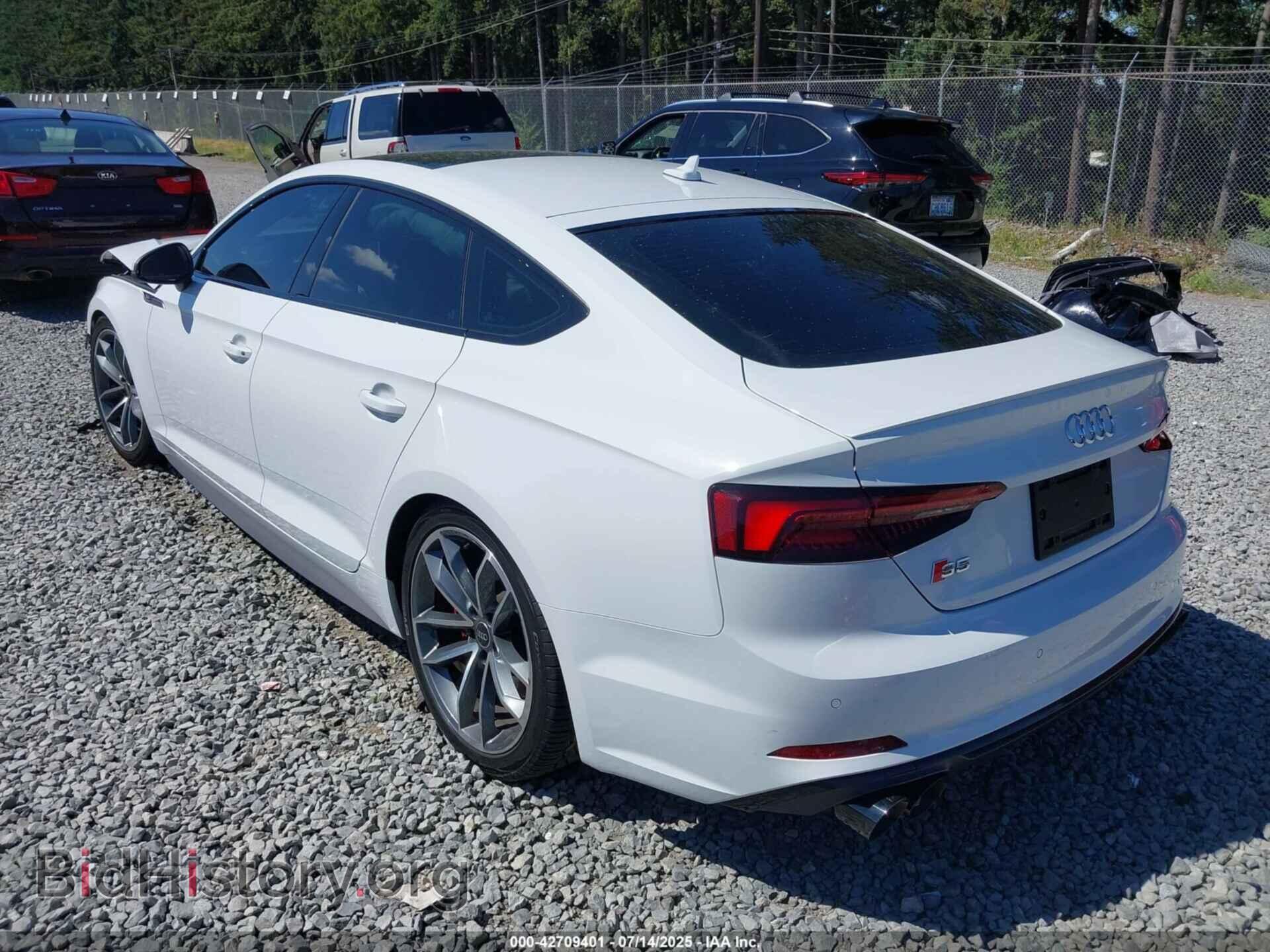 2019 AUDI S5 - VIN: WAUC4CF52KA072298 - Фото 3