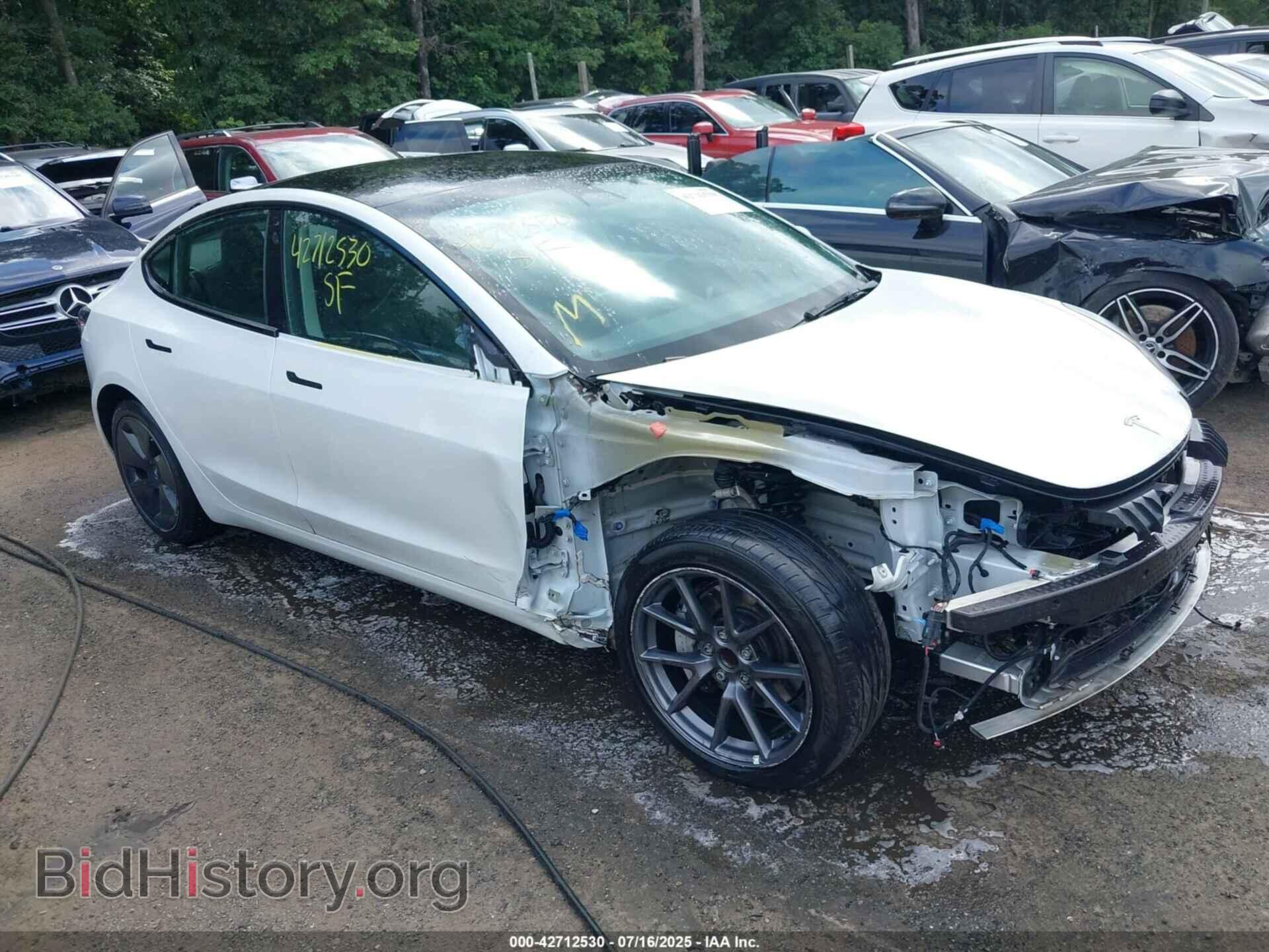 Photo 5YJ3E1EA5PF482949 - TESLA MODEL 3 2023