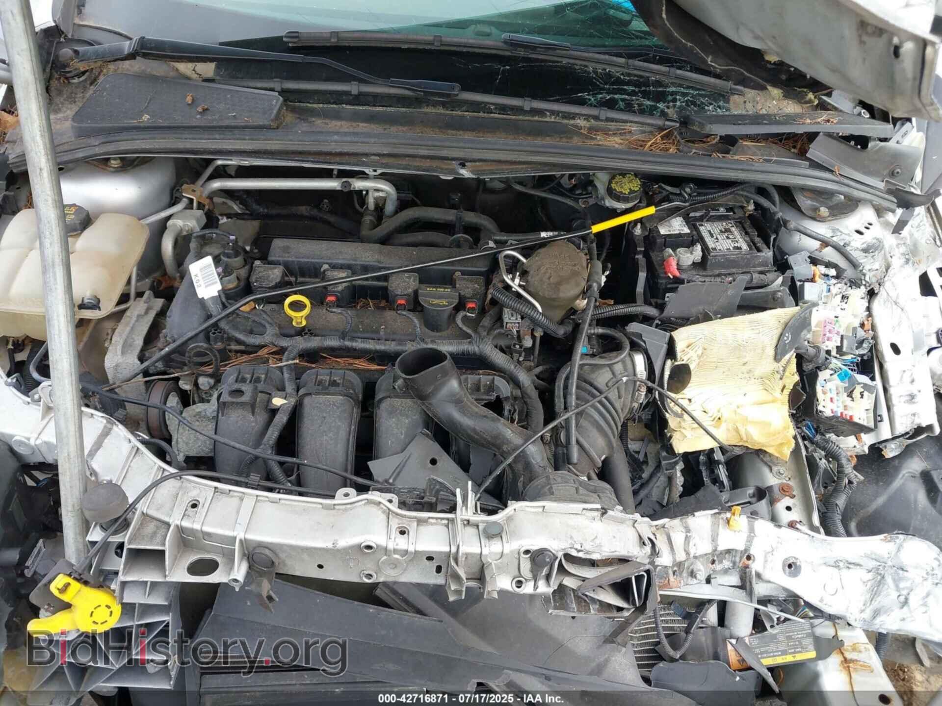 2014 FORD FOCUS - VIN: 1FADP3F20EL149673 - Фото 10