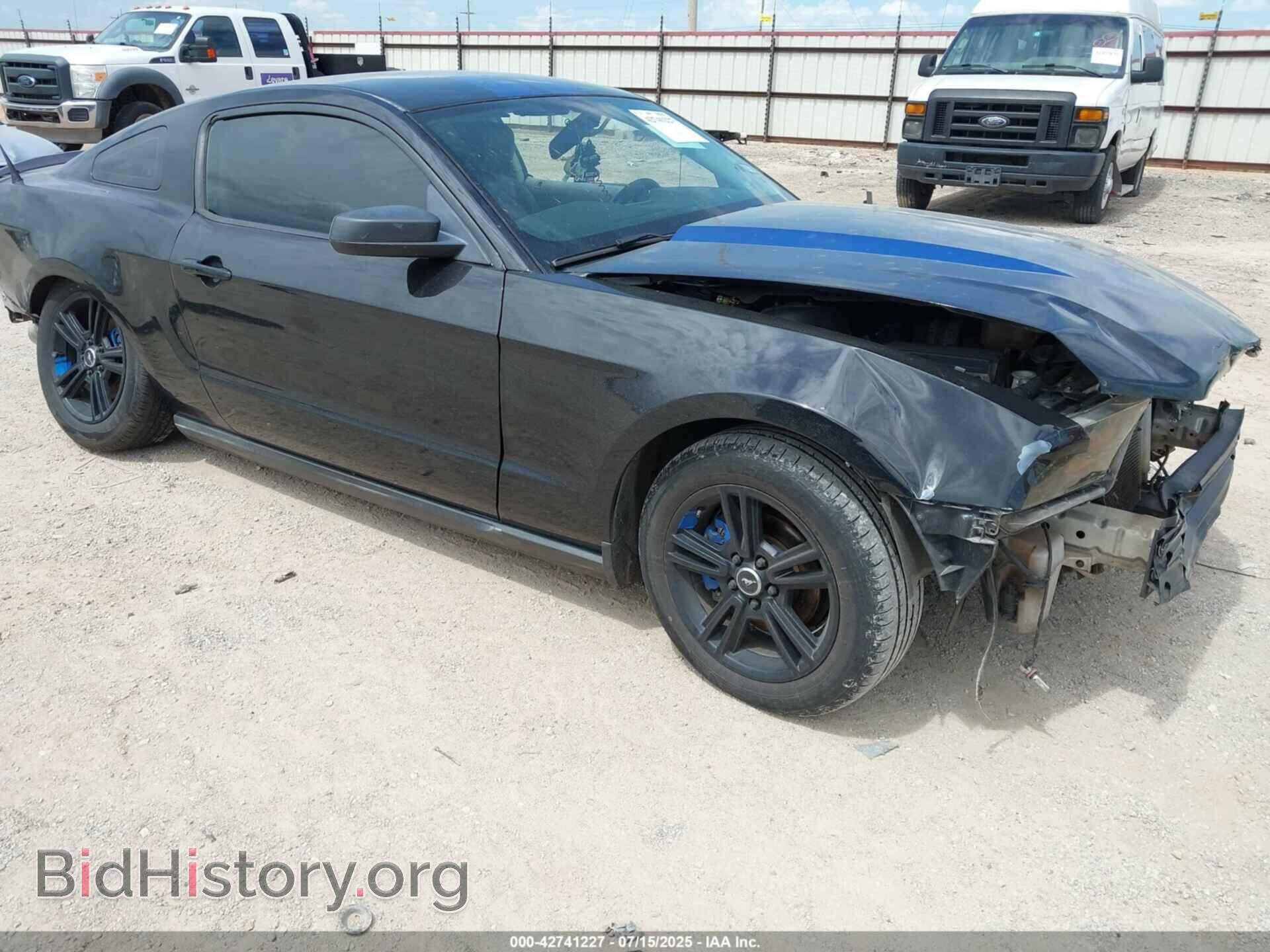 Фотография 1ZVBP8AN9A5125738 - FORD MUSTANG 2010