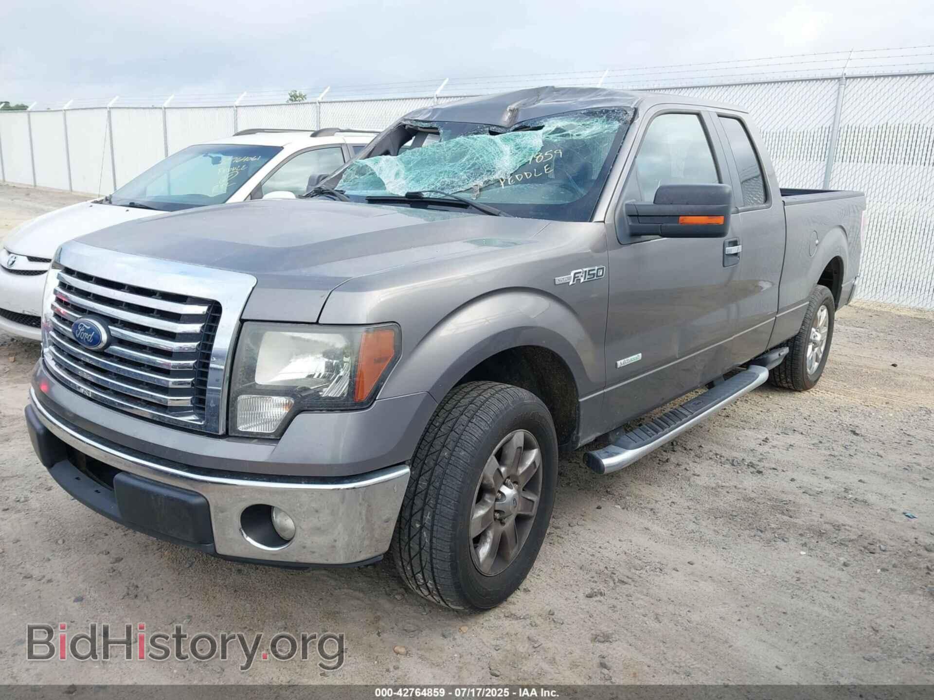 2011 FORD F-150 - VIN: 1FTFX1CT4BFA68917 - Фото 2