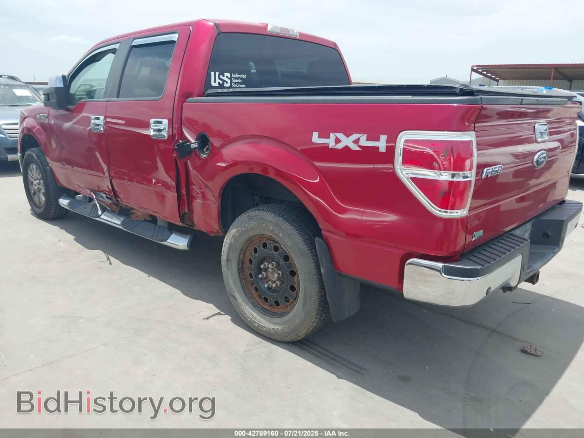 2010 FORD F-150 - VIN: 1FTFW1EV1AFA97209 - Фото 3