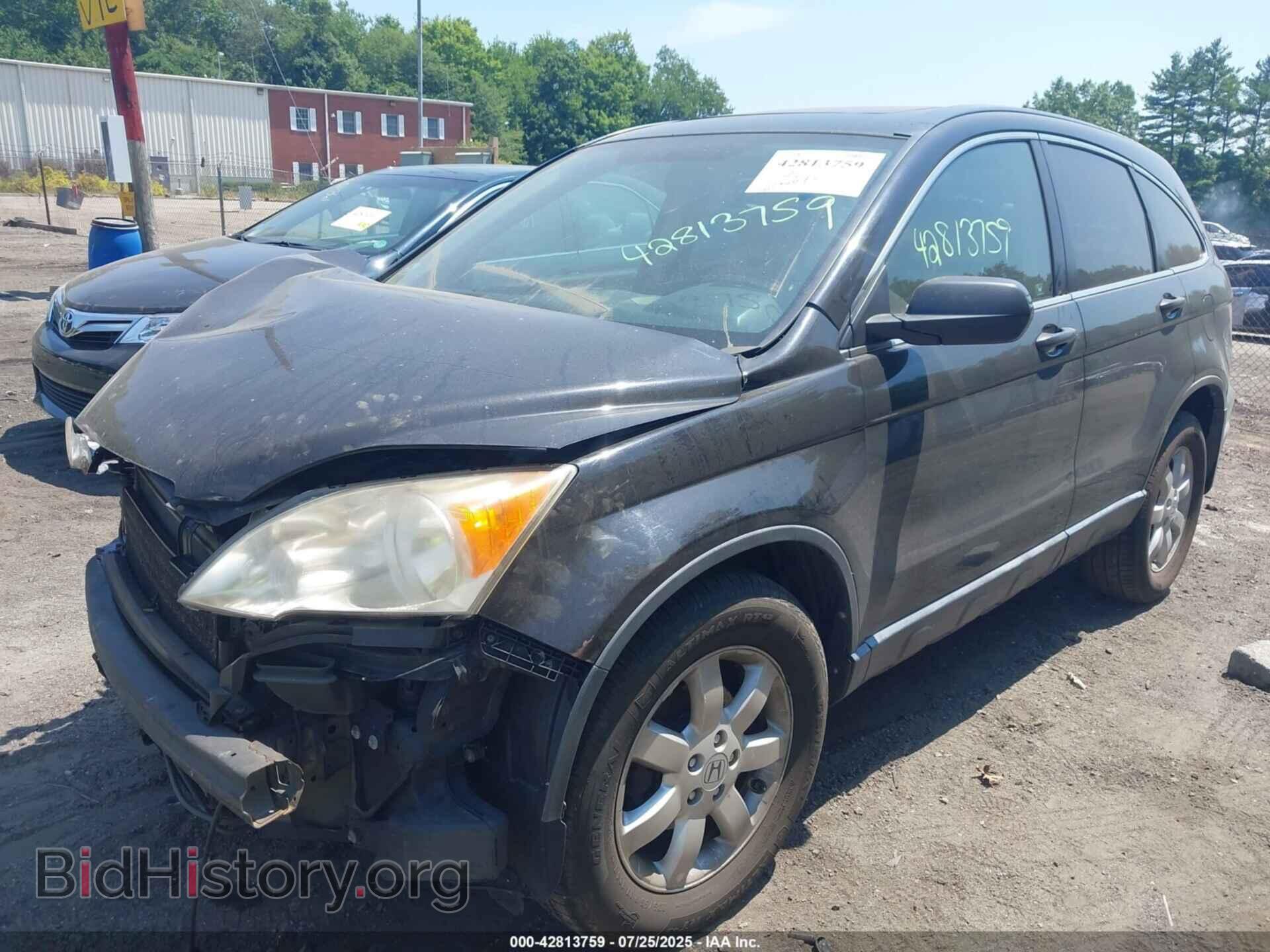 2007 HONDA CR-V - VIN: JHLRE48507C087054 - Фото 2