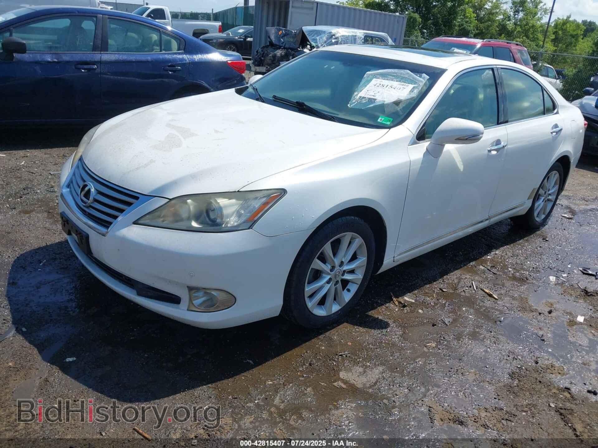 2011 LEXUS ES 350 - VIN: JTHBK1EG5B2424746 - Фото 2