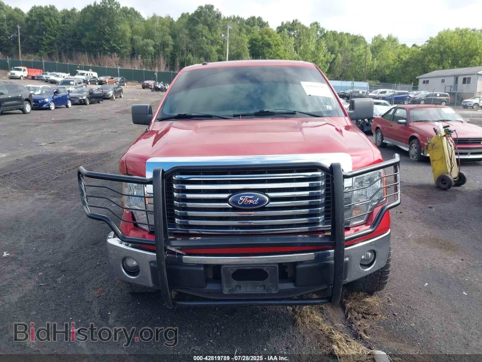 2011 FORD F-150 - VIN: 1FTFX1EF8BFA10641 - Фото 12