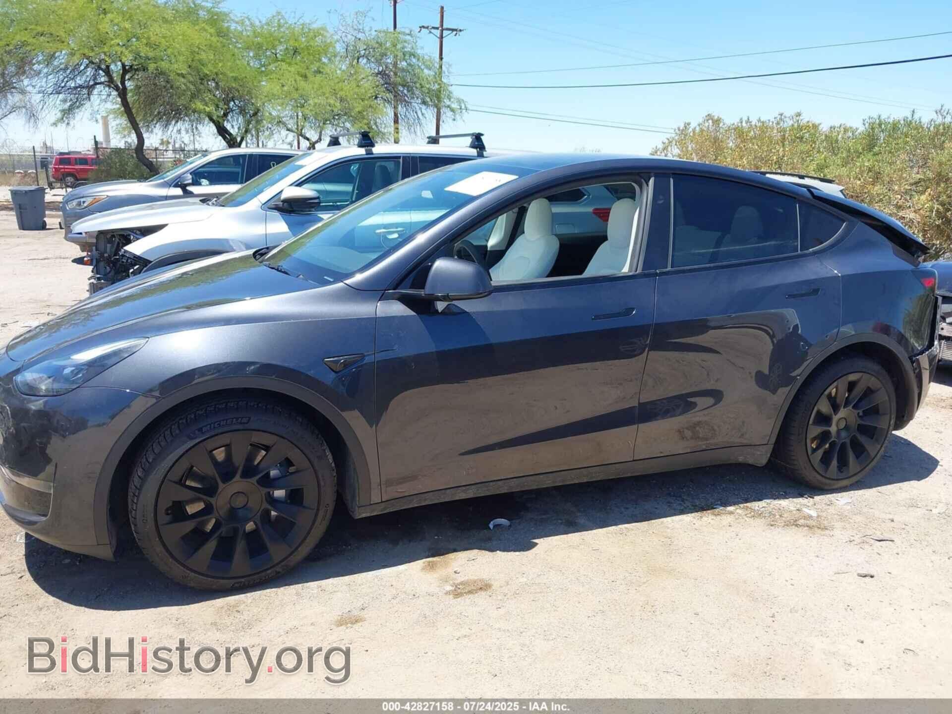 2024 TESLA MODEL Y - VIN: 7SAYGAEE4RF991794 - Фото 14