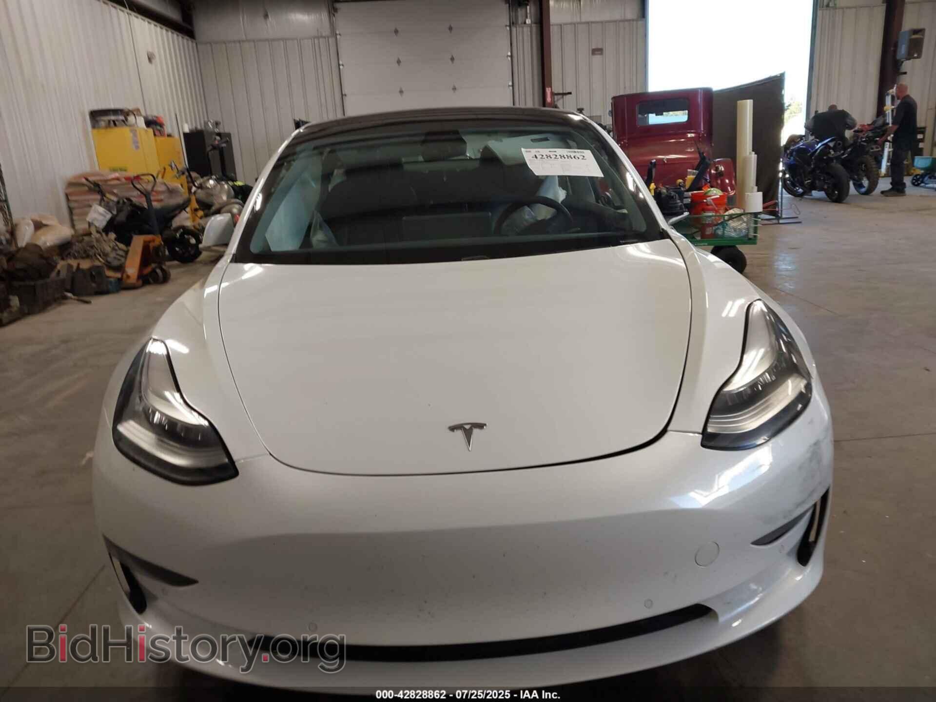 2019 TESLA MODEL 3 - VIN: 5YJ3E1EA6KF466784 - Photo 11