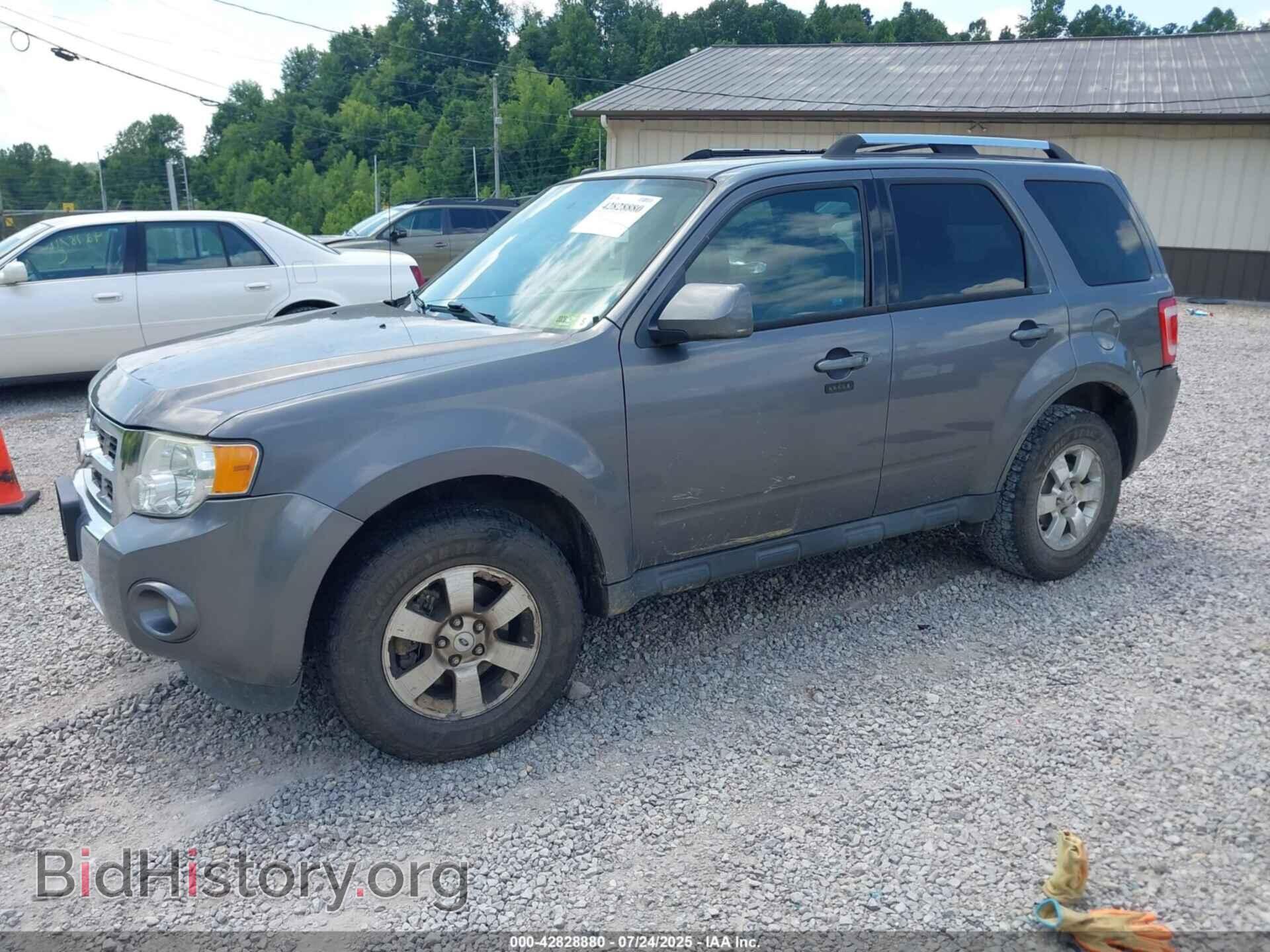 2011 FORD ESCAPE - VIN: 1FMCU9EG8BKA75348 - Фото 2