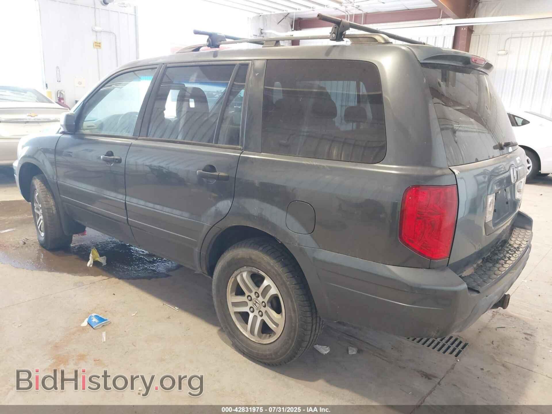 2005 HONDA PILOT - VIN: 5FNYF18445B067210 - Фото 3